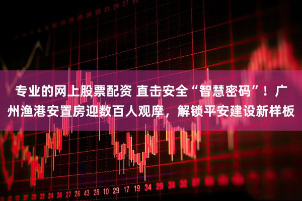 专业的网上股票配资 直击安全“智慧密码”！广州渔港安置房迎数百人观摩，解锁平安建设新样板
