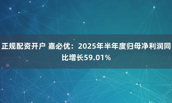 正规配资开户 嘉必优：2025年半年度归母净利润同比增长59.01%