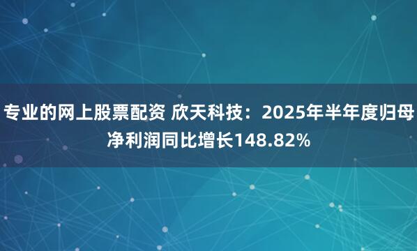 专业的网上股票配资 欣天科技：2025年半年度归母净利润同比增长148.82%