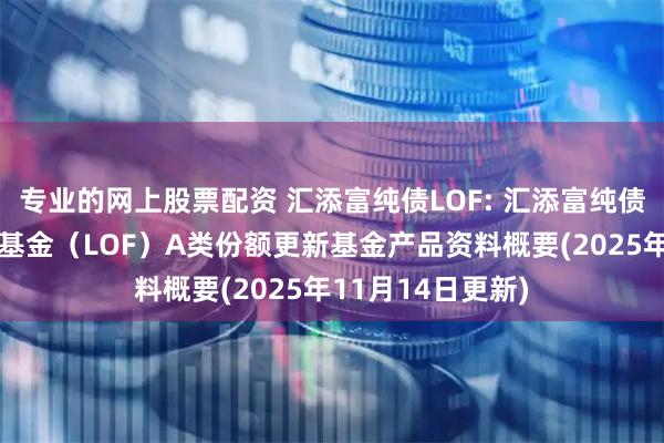 专业的网上股票配资 汇添富纯债LOF: 汇添富纯债债券型证券投资基金（LOF）A类份额更新基金产品资料概要(2025年11月14日更新)